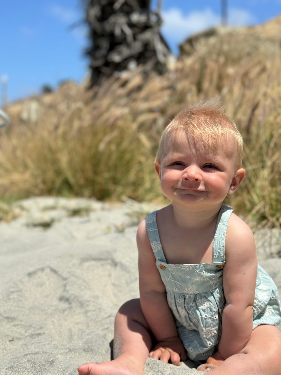 HAZEL BUBBLE - BLUE DANDELION