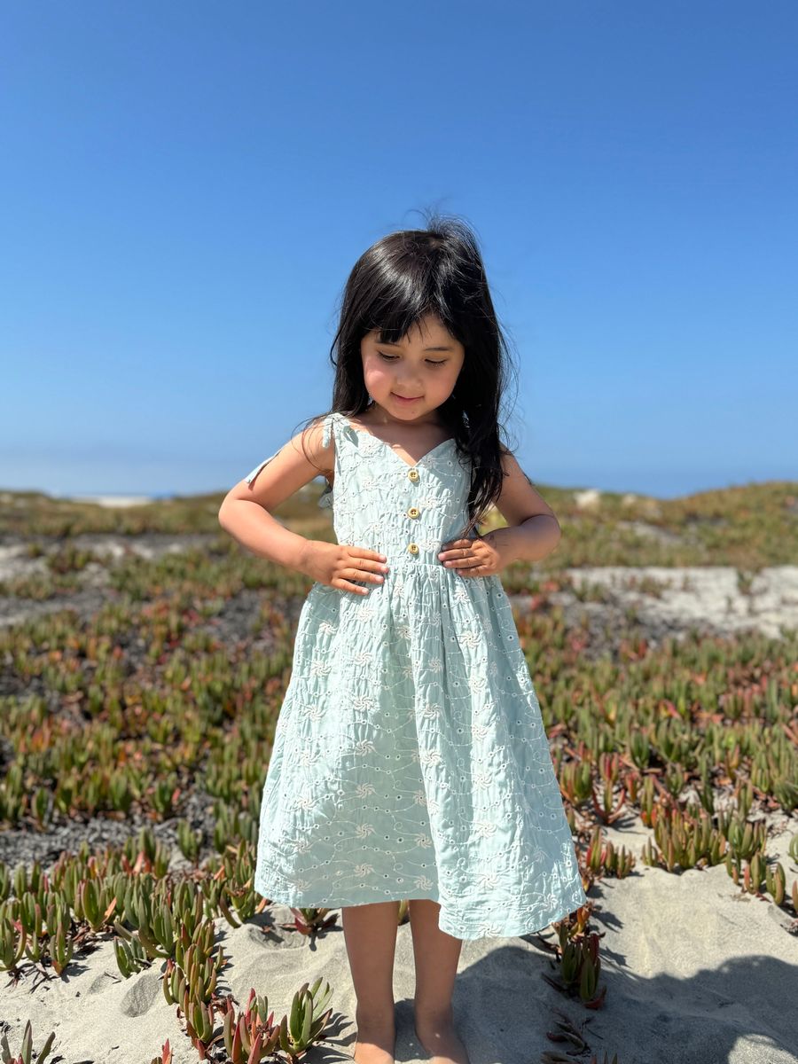 PENNY DRESS - BLUE DANDELION EYELET