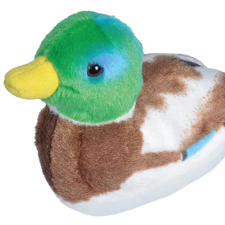 LIL MALLARD DUCK 5.5''