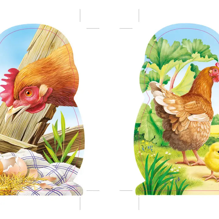 FURRY CHICK BOOK