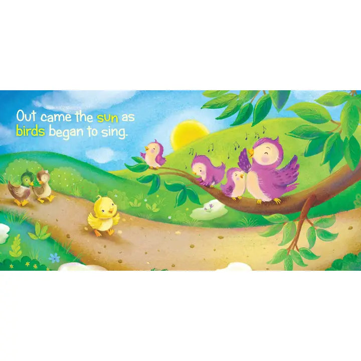 ITSY BITSY DUCKLING BOOK