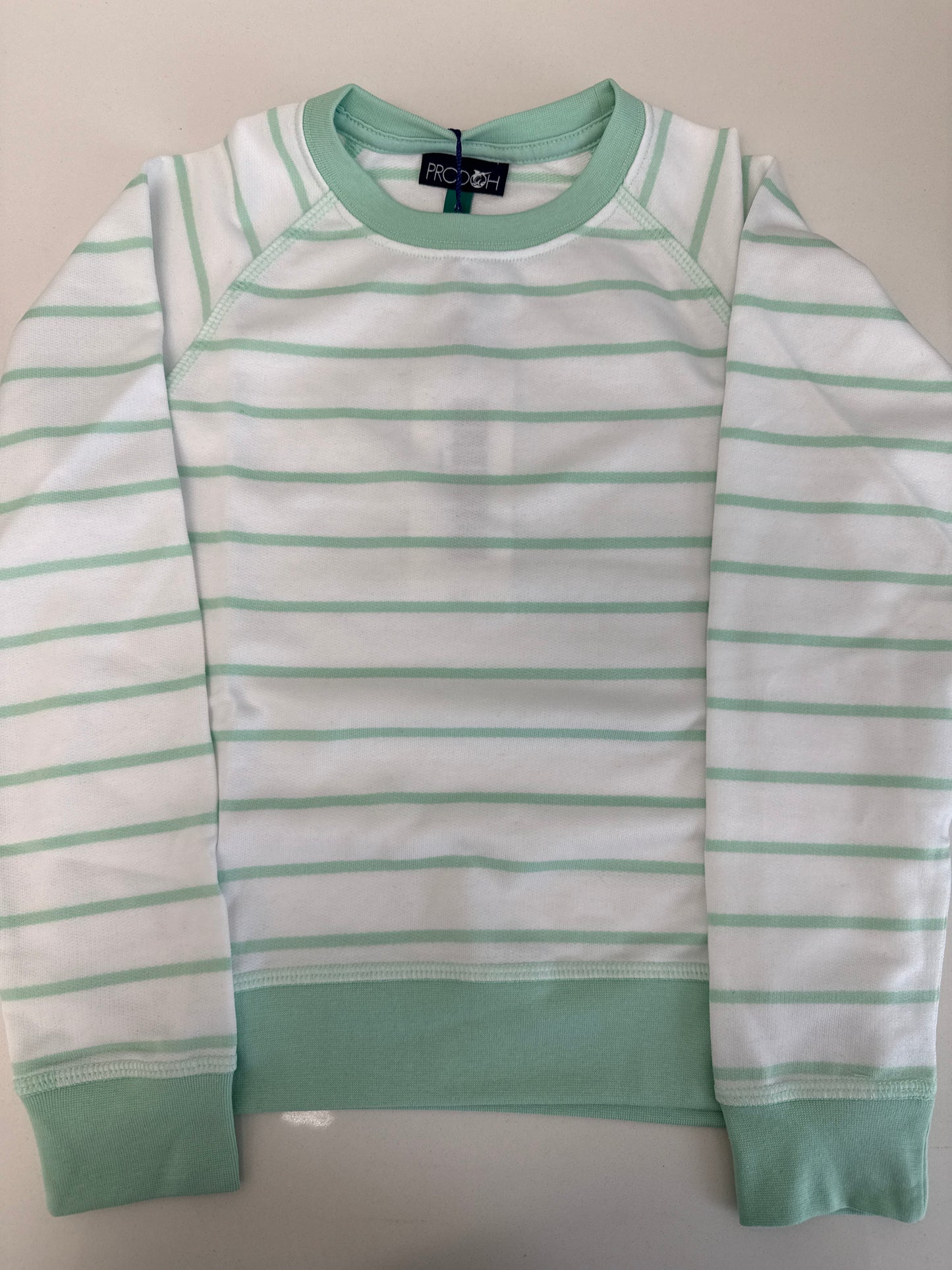 GIRLS CREW CONTROL SWEATSHIRT - MINT STRIPE