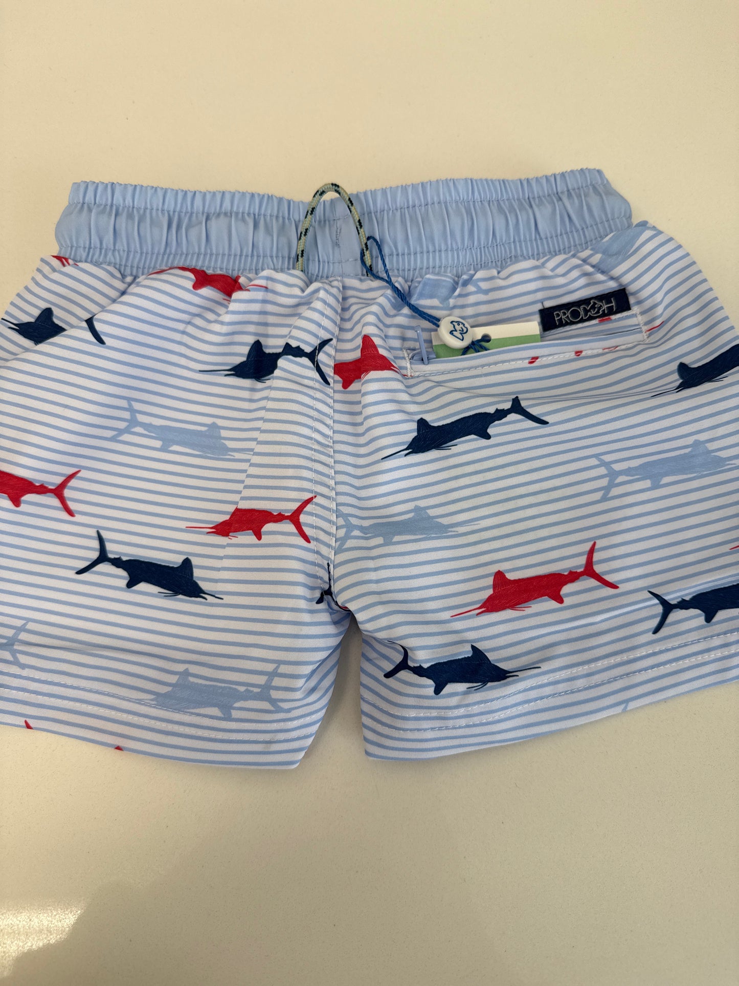 BOYS BOGIE BOARD SWIM TRUNKS - WINDSURFER FISH PRINT