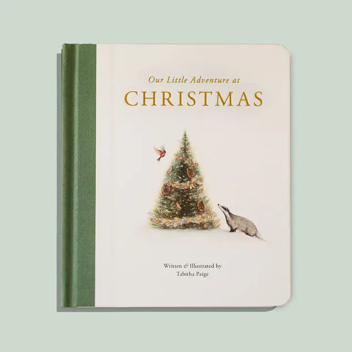 OUR LITTLE ADVENTURE AT CHRISTMAS BOOK