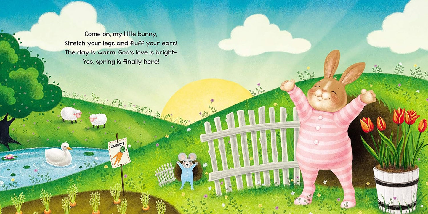 NIGHT NIGHT BUNNY BOOK