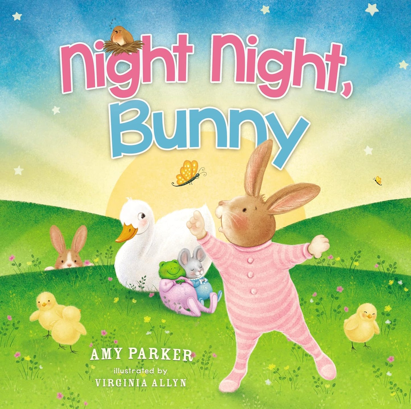 NIGHT NIGHT BUNNY BOOK