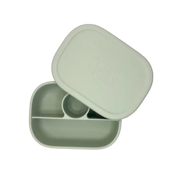 HAYDEN BENTO BOX - ASSORTED COLORS