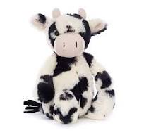 BASHFUL CALF