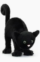 SPOOKIPAWS CAT