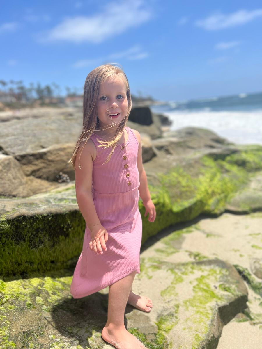 DAPHNE DRESS - ROSE
