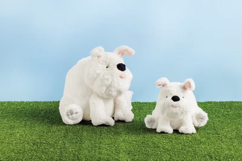 COACH THE BULLDOG PLUSH PAL