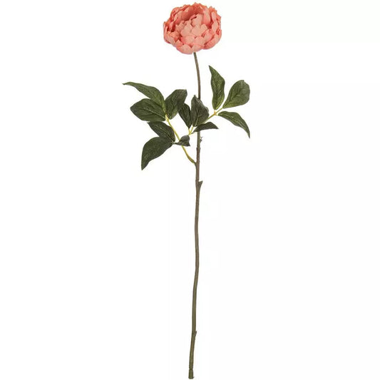 21" PEACH PEONY
