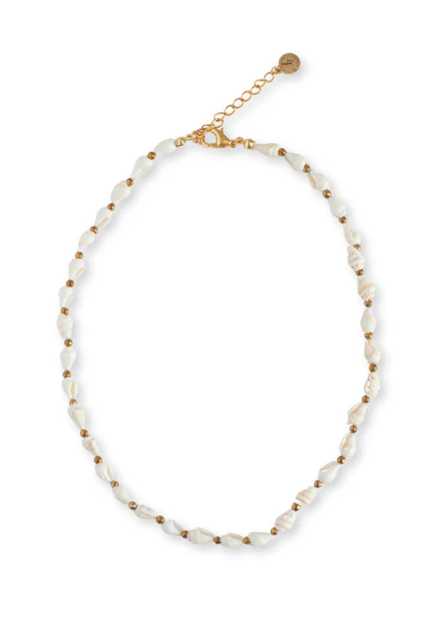 ARIEL SHELL NECKLACEB- GOLD – Simply Carolina
