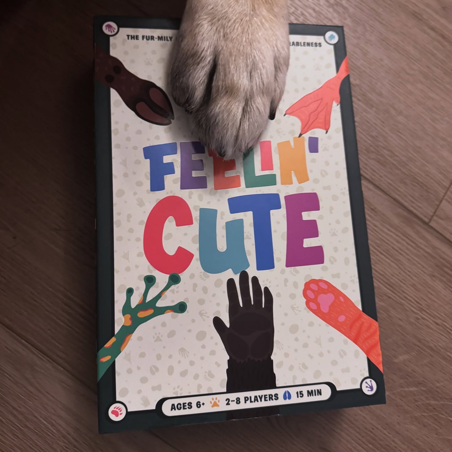FEELIN' CUTE GAME
