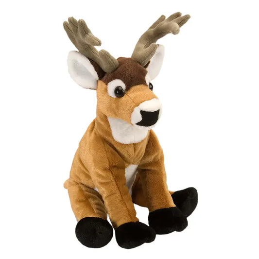 WHITE TAIL BUCK 12''