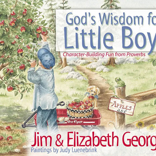 GOD'S WISDOM FOR LITTLE BOYS