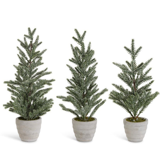 SNOWY PINE TREES IN GRAY CEMENT POTS