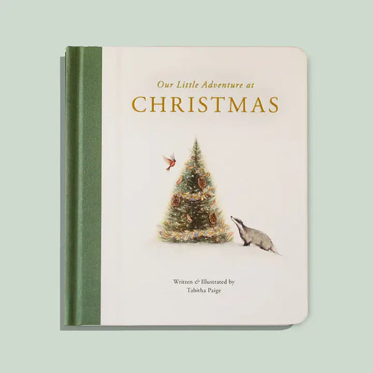 OUR LITTLE ADVENTURE AT CHRISTMAS BOOK