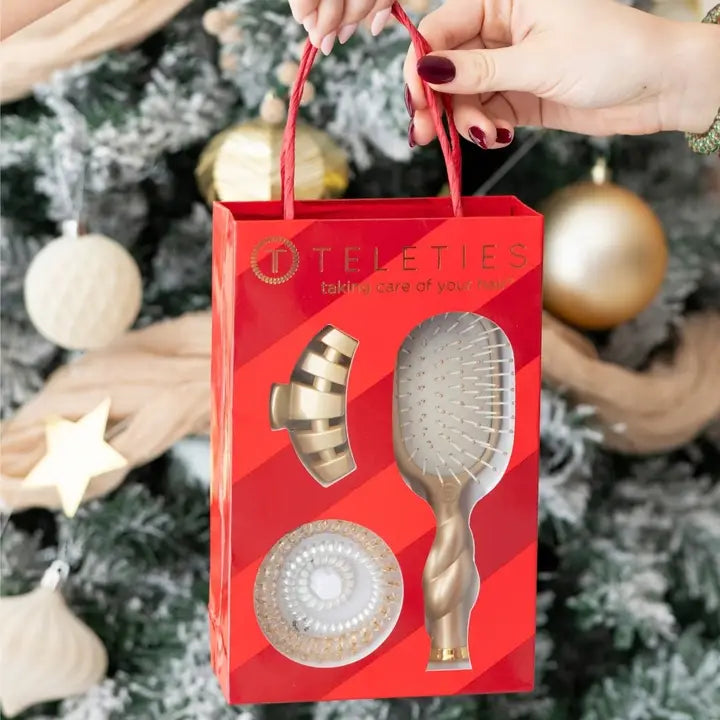 HOLIDAY BRUSH GIFT SET