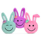 HAPPY BUNNIES - ASSORTED