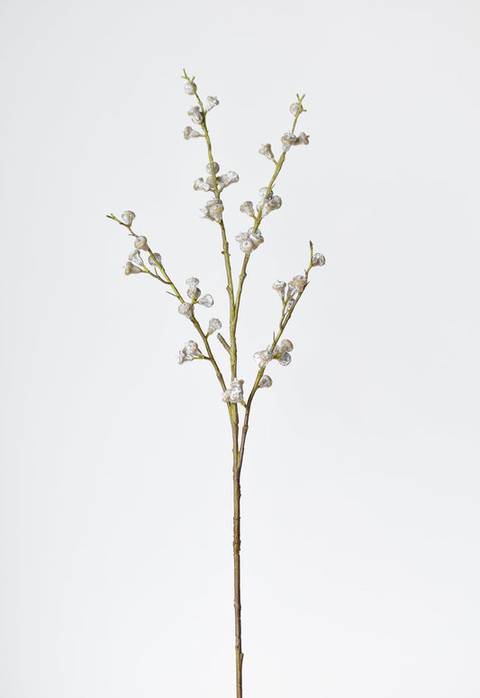35" POWDERED EUCALYPTUS POD STEM