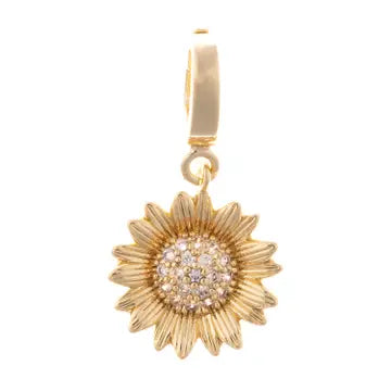 LIFESTYLE CHARMS - ASSORTED