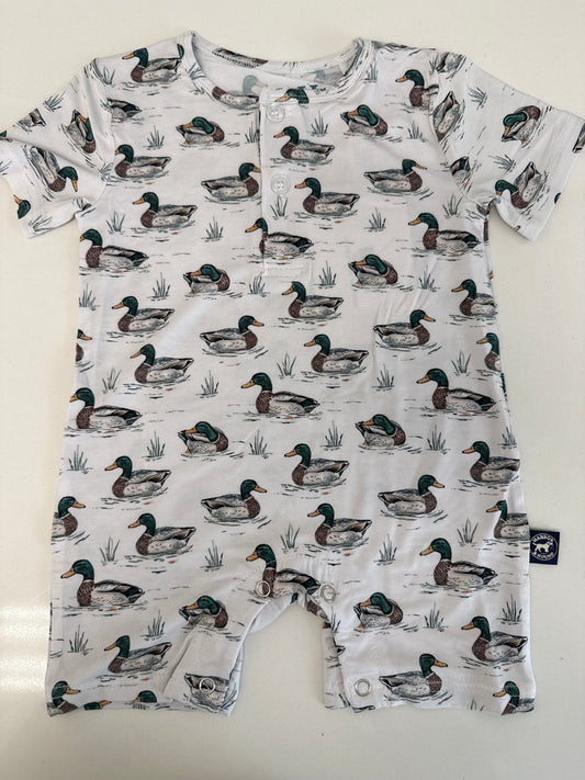 SHORELINE SHORTALL IN GREEN HEAD