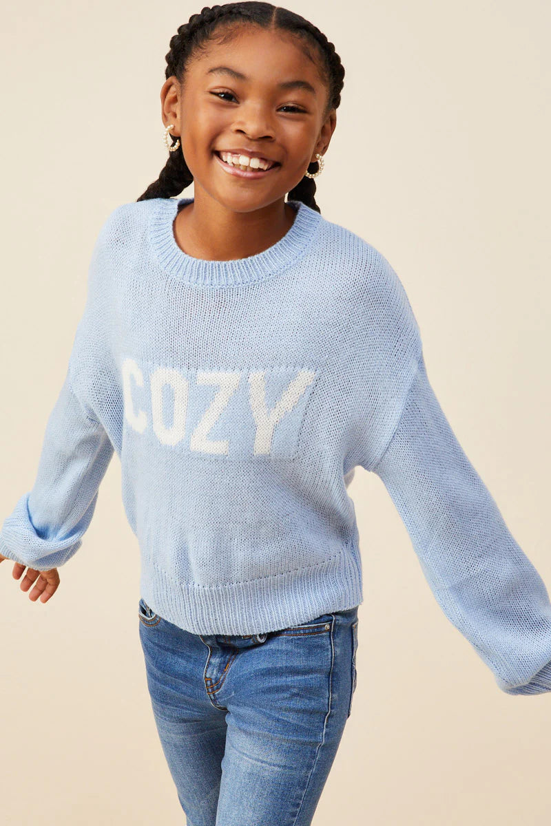 COZY GRAPHIC KNIT PULLOVER - BLUE