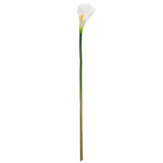 28" CALLA LILY STEM