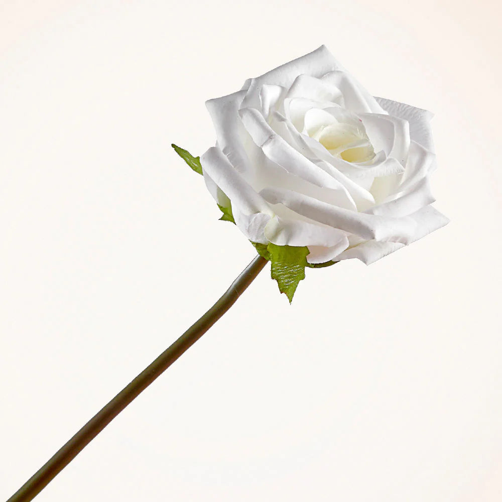 14" WHITE ROSE STEM