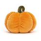 VIVACIOUS VEGETABLE PUMPKIN