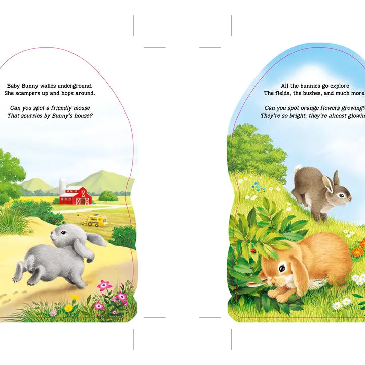 FURRY BUNNY BOOK
