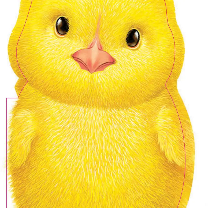 FURRY CHICK BOOK
