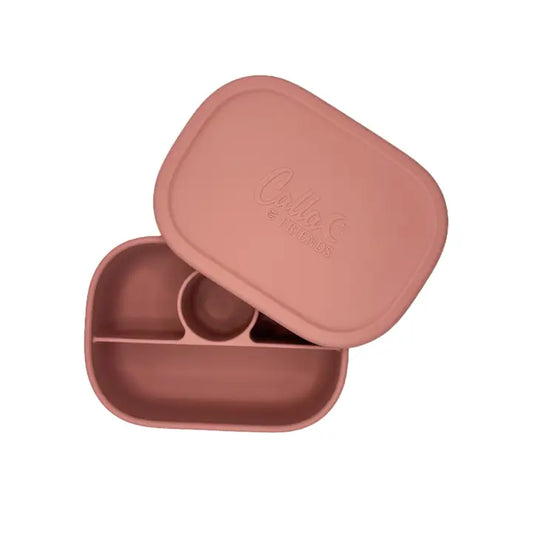 HAYDEN BENTO BOX - ASSORTED COLORS