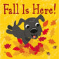 FALL IS HERE!