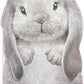 FURRY BUNNY BOOK