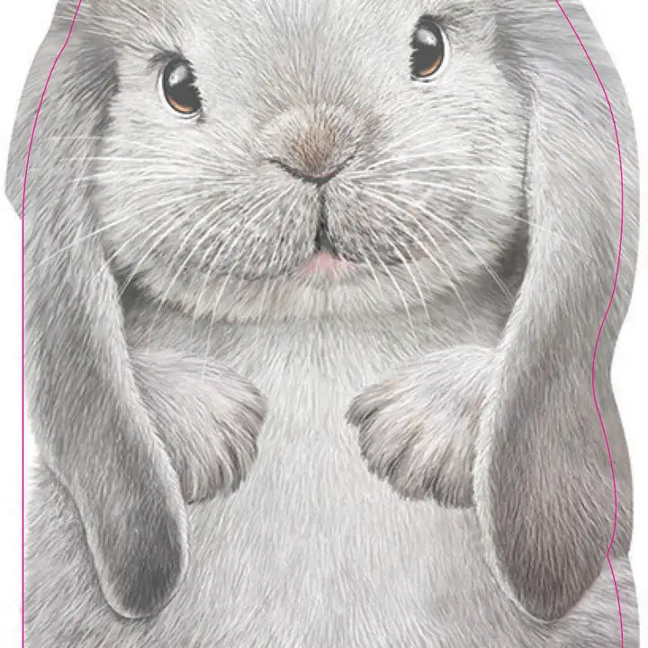 FURRY BUNNY BOOK