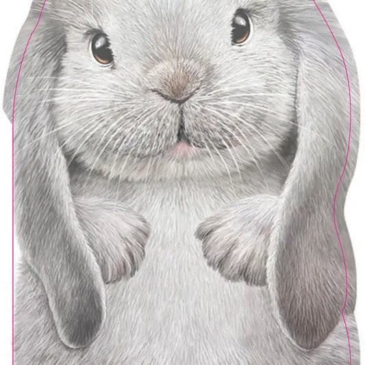 FURRY BUNNY BOOK