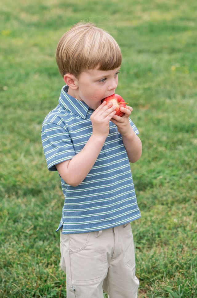 BOYS SS TOO COOL FOR SCHOOL POLO - COPEN BLUE FROSTY SPRUCE STRIPE