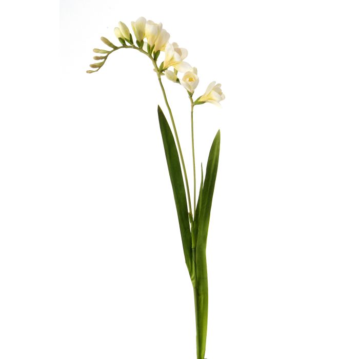30" FREESIA STEM
