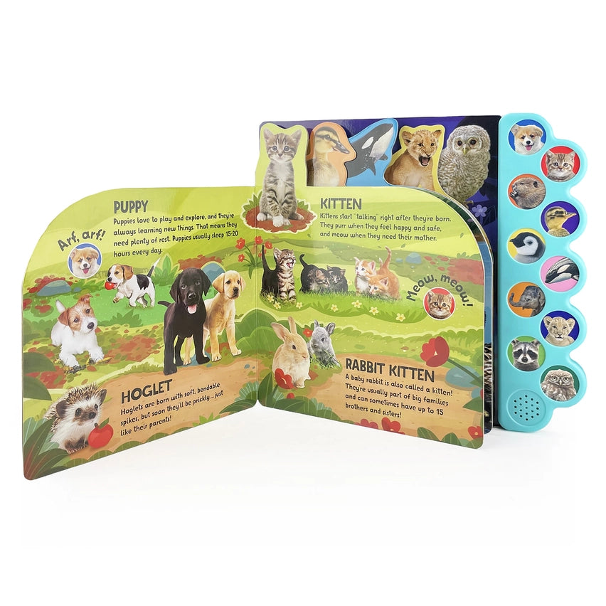 AMAZING, ADORABLE ANIMAL BABIES SOUND BOOK