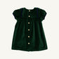 SHORT SLEEVE PATSY PARTY DRESS - VELVETEEN/GRIER GREEN/NANTUCKET NAVY