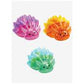 SUGAR SWAPS SHEEP SEA SLUG