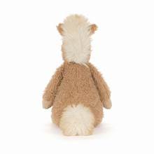CANTERNEIGH PONY