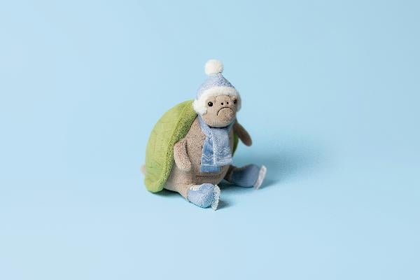 TIMMY TURTLE SKATING