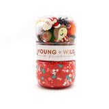 GRAB & GO DOUGH JAR - HOLIDAY ASSORTMENT