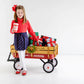 PERRIN PLEATED SKIRT FLANNEL- A KIND HEART