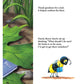BUZZY THE BUMBLEBEE PAPERBACK BOOK
