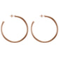 EVERYBODY'S FAVORITE HOOPS